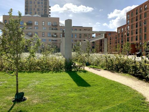 Walking path through meadows with small fruit trees